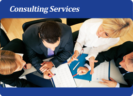 Peter Taylor & Associates Consulting Services